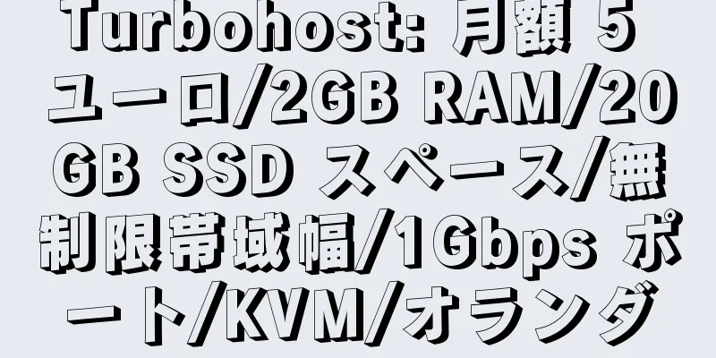 Turbohost: 月額 5 ユーロ/2GB RAM/20GB SSD スペース/無制限帯域幅/1Gbps ポート/KVM/オランダ