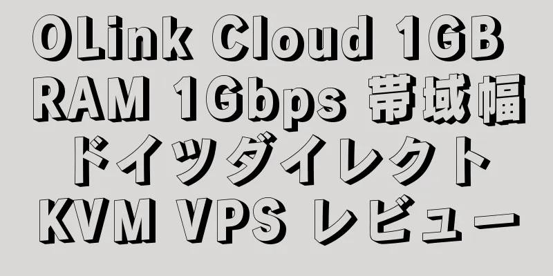 OLink Cloud 1GB RAM 1Gbps 帯域幅 ドイツダイレクト KVM VPS レビュー
