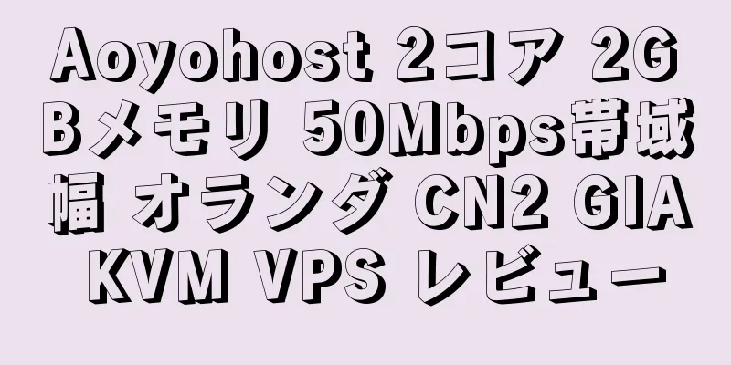 Aoyohost 2コア 2GBメモリ 50Mbps帯域幅 オランダ CN2 GIA KVM VPS レビュー