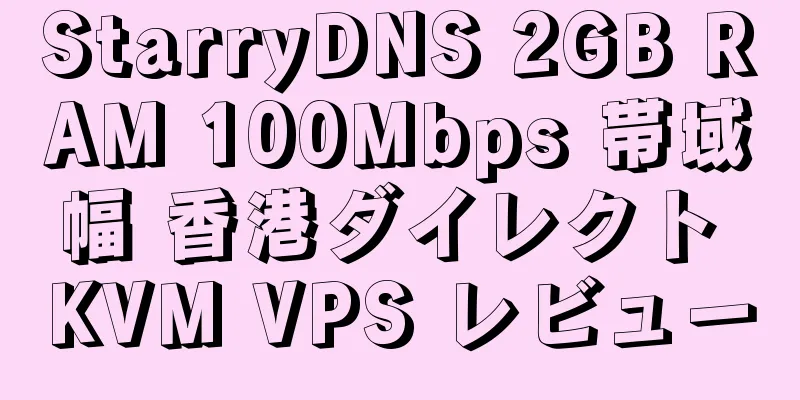 StarryDNS 2GB RAM 100Mbps 帯域幅 香港ダイレクト KVM VPS レビュー