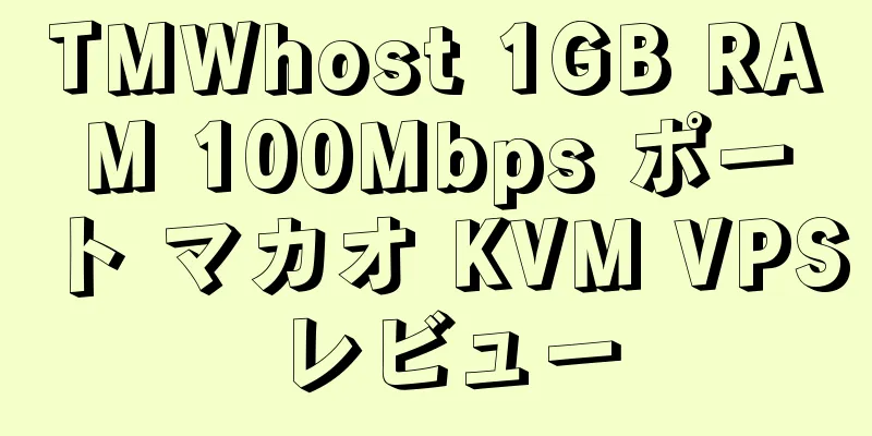 TMWhost 1GB RAM 100Mbps ポート マカオ KVM VPS レビュー