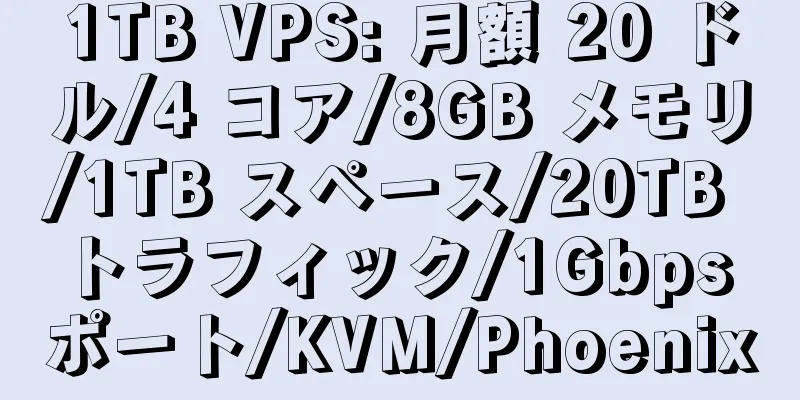 1TB VPS: 月額 20 ドル/4 コア/8GB メモリ/1TB スペース/20TB トラフィック/1Gbps ポート/KVM/Phoenix