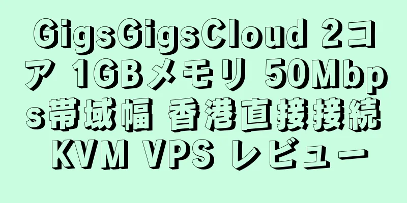 GigsGigsCloud 2コア 1GBメモリ 50Mbps帯域幅 香港直接接続 KVM VPS レビュー