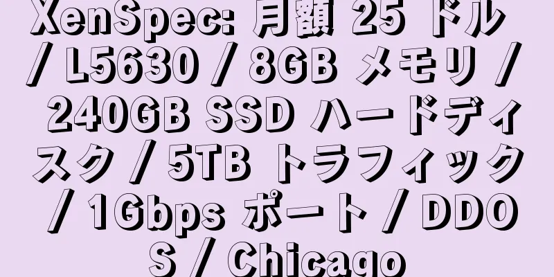 XenSpec: 月額 25 ドル / L5630 / 8GB メモリ / 240GB SSD ハードディスク / 5TB トラフィック / 1Gbps ポート / DDOS / Chicago