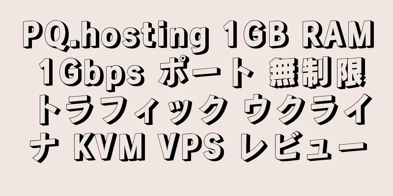 PQ.hosting 1GB RAM 1Gbps ポート 無制限トラフィック ウクライナ KVM VPS レビュー