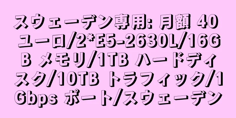 スウェーデン専用: 月額 40 ユーロ/2*E5-2630L/16GB メモリ/1TB ハードディスク/10TB トラフィック/1Gbps ポート/スウェーデン