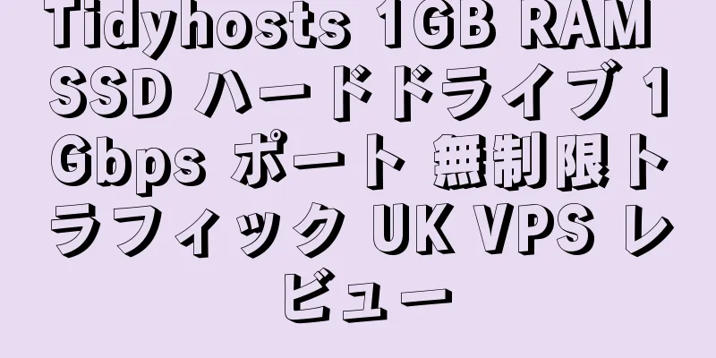 Tidyhosts 1GB RAM SSD ハードドライブ 1Gbps ポート 無制限トラフィック UK VPS レビュー