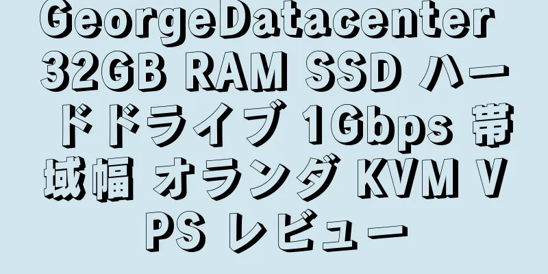 GeorgeDatacenter 32GB RAM SSD ハードドライブ 1Gbps 帯域幅 オランダ KVM VPS レビュー