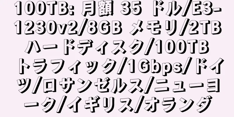 100TB: 月額 35 ドル/E3-1230v2/8GB メモリ/2TB ハードディスク/100TB トラフィック/1Gbps/ドイツ/ロサンゼルス/ニューヨーク/イギリス/オランダ