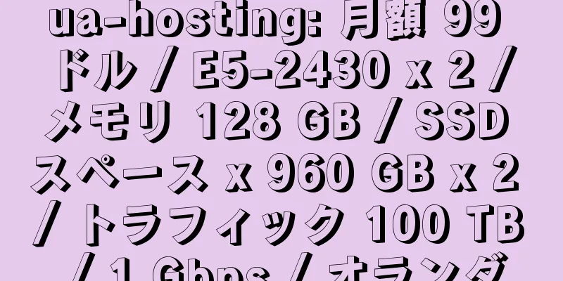 ua-hosting: 月額 99 ドル / E5-2430 x 2 / メモリ 128 GB / SSD スペース x 960 GB x 2 / トラフィック 100 TB / 1 Gbps / オランダ