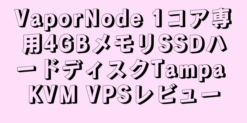 VaporNode 1コア専用4GBメモリSSDハードディスクTampa KVM VPSレビュー