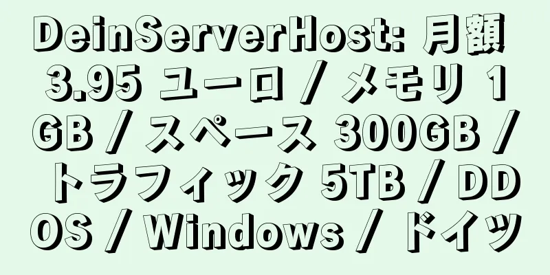 DeinServerHost: 月額 3.95 ユーロ / メモリ 1GB / スペース 300GB / トラフィック 5TB / DDOS / Windows / ドイツ