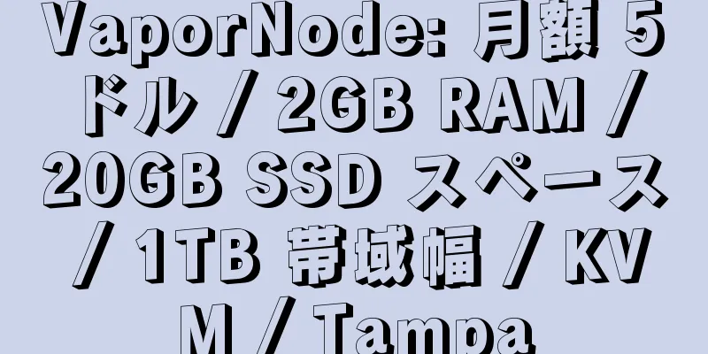 VaporNode: 月額 5 ドル / 2GB RAM / 20GB SSD スペース / 1TB 帯域幅 / KVM / Tampa