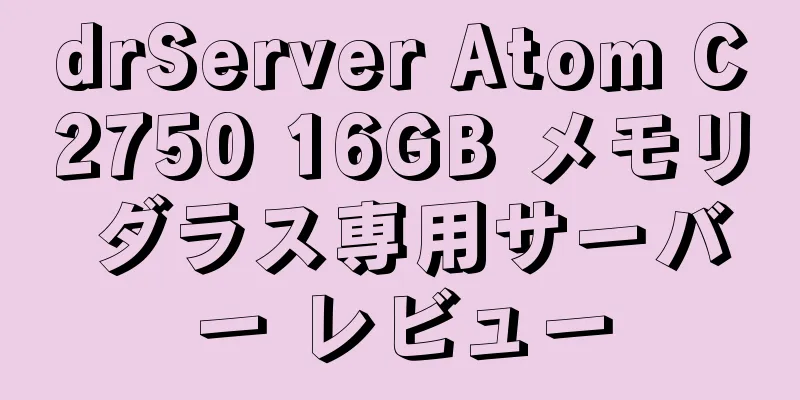 drServer Atom C2750 16GB メモリ ダラス専用サーバー レビュー