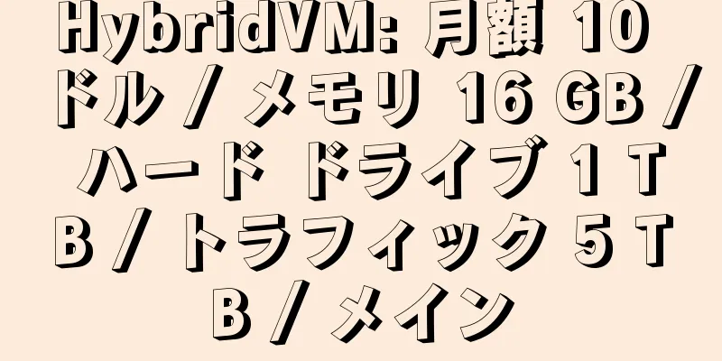 HybridVM: 月額 10 ドル / メモリ 16 GB / ハード ドライブ 1 TB / トラフィック 5 TB / メイン