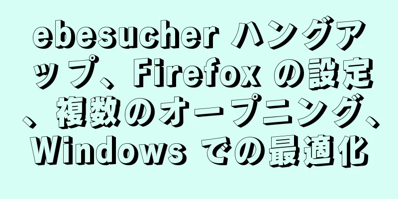 ebesucher ハングアップ、Firefox の設定、複数のオープニング、Windows での最適化