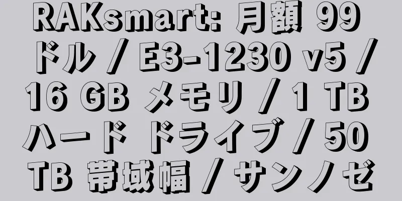 RAKsmart: 月額 99 ドル / E3-1230 v5 / 16 GB メモリ / 1 TB ハード ドライブ / 50 TB 帯域幅 / サンノゼ