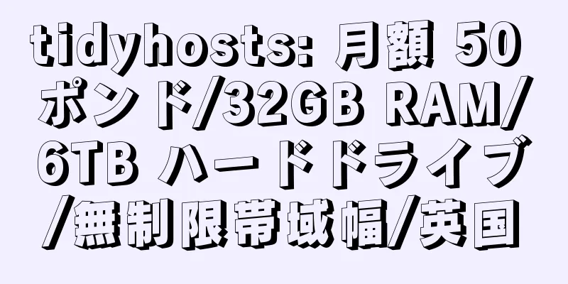tidyhosts: 月額 50 ポンド/32GB RAM/6TB ハードドライブ/無制限帯域幅/英国