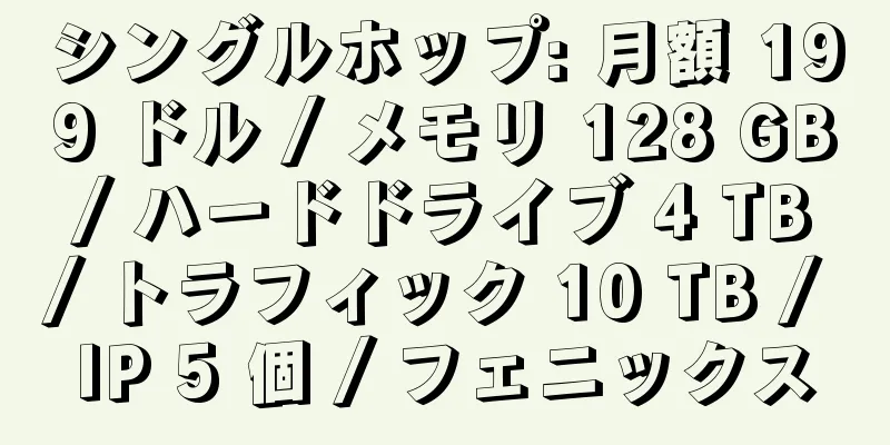 シングルホップ: 月額 199 ドル / メモリ 128 GB / ハードドライブ 4 TB / トラフィック 10 TB / IP 5 個 / フェニックス