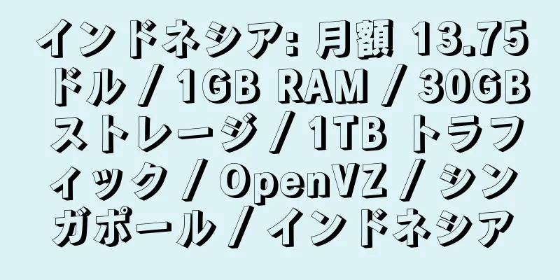 インドネシア: 月額 13.75 ドル / 1GB RAM / 30GB ストレージ / 1TB トラフィック / OpenVZ / シンガポール / インドネシア