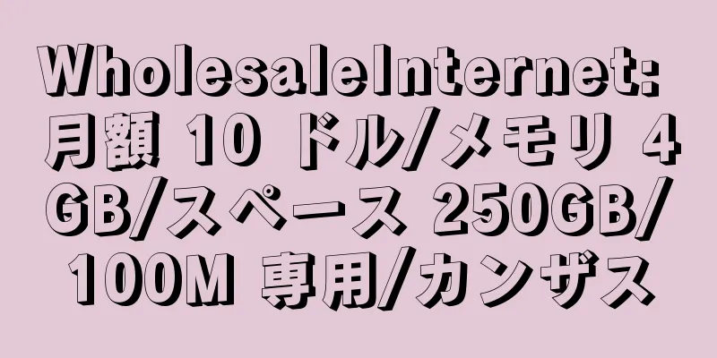 WholesaleInternet: 月額 10 ドル/メモリ 4GB/スペース 250GB/100M 専用/カンザス