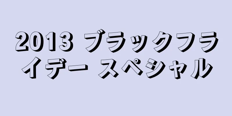 2013 ブラックフライデー スペシャル