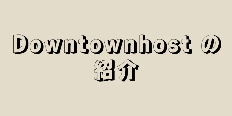Downtownhost の紹介