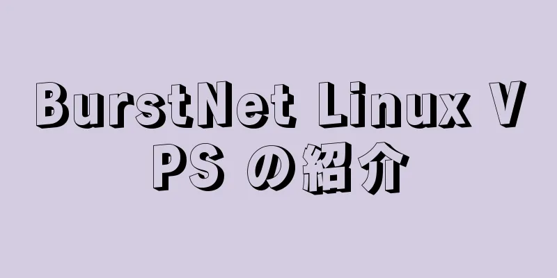 BurstNet Linux VPS の紹介