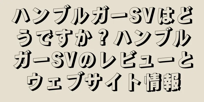 ハンブルガーSVはどうですか？ハンブルガーSVのレビューとウェブサイト情報