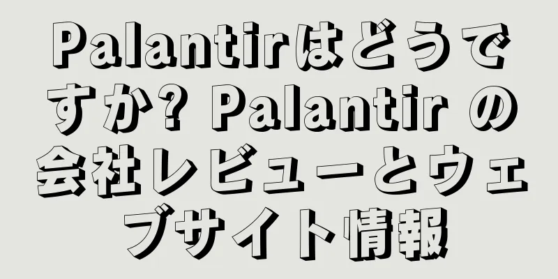 Palantirはどうですか? Palantir の会社レビューとウェブサイト情報