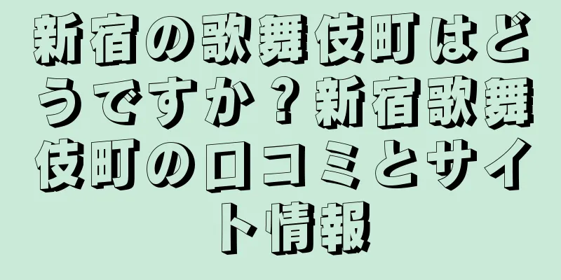 新宿の歌舞伎町はどうですか？新宿歌舞伎町の口コミとサイト情報