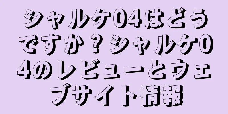 シャルケ04はどうですか？シャルケ04のレビューとウェブサイト情報