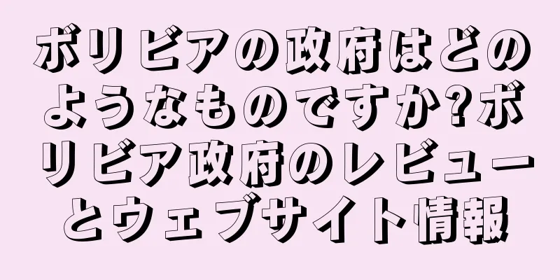 ボリビアの政府はどのようなものですか?ボリビア政府のレビューとウェブサイト情報