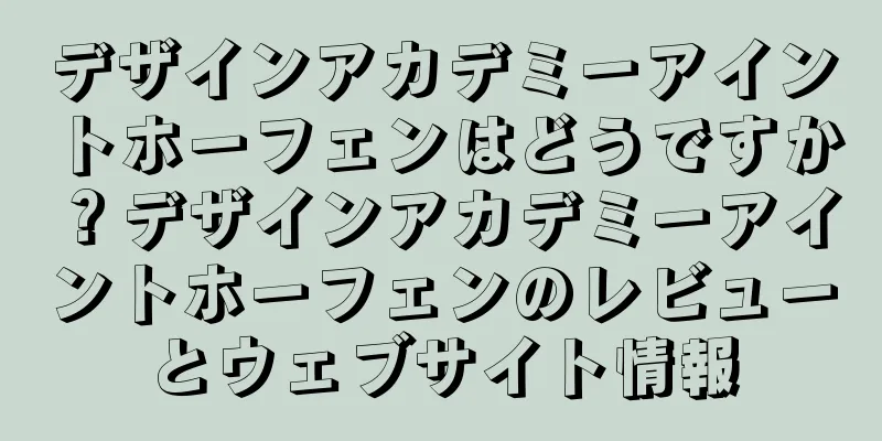 デザインアカデミーアイントホーフェンはどうですか？デザインアカデミーアイントホーフェンのレビューとウェブサイト情報