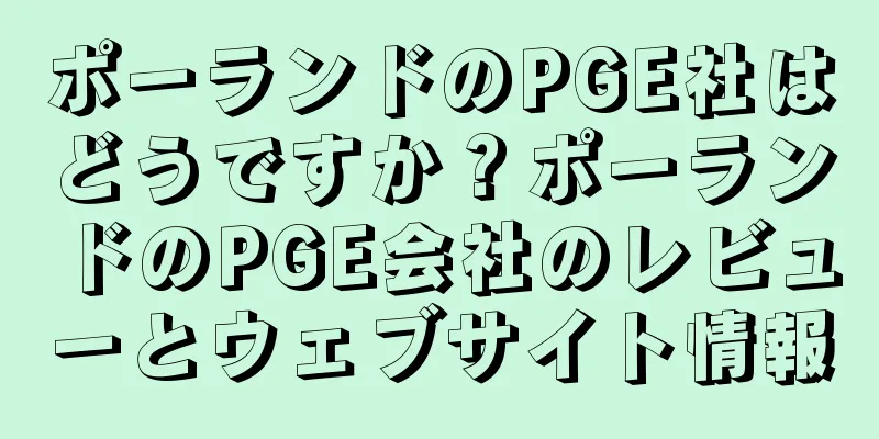 ポーランドのPGE社はどうですか？ポーランドのPGE会社のレビューとウェブサイト情報