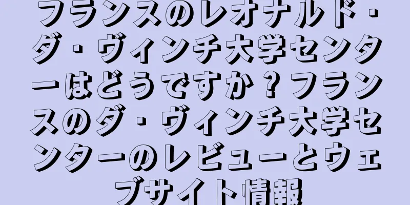 フランスのレオナルド・ダ・ヴィンチ大学センターはどうですか？フランスのダ・ヴィンチ大学センターのレビューとウェブサイト情報