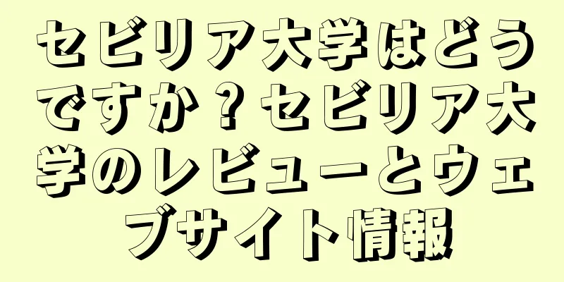 セビリア大学はどうですか？セビリア大学のレビューとウェブサイト情報