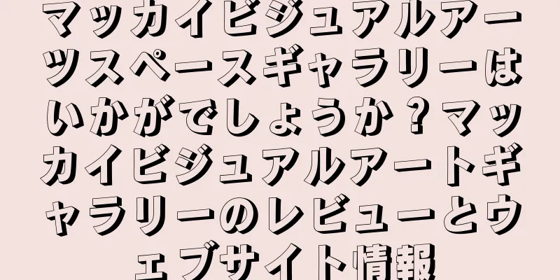 マッカイビジュアルアーツスペースギャラリーはいかがでしょうか？マッカイビジュアルアートギャラリーのレビューとウェブサイト情報