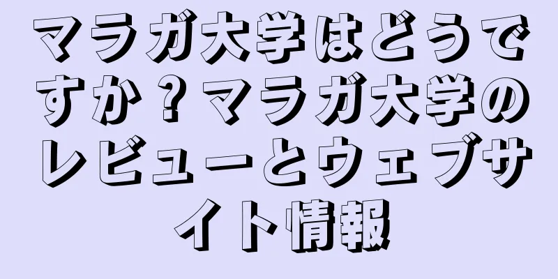 マラガ大学はどうですか？マラガ大学のレビューとウェブサイト情報