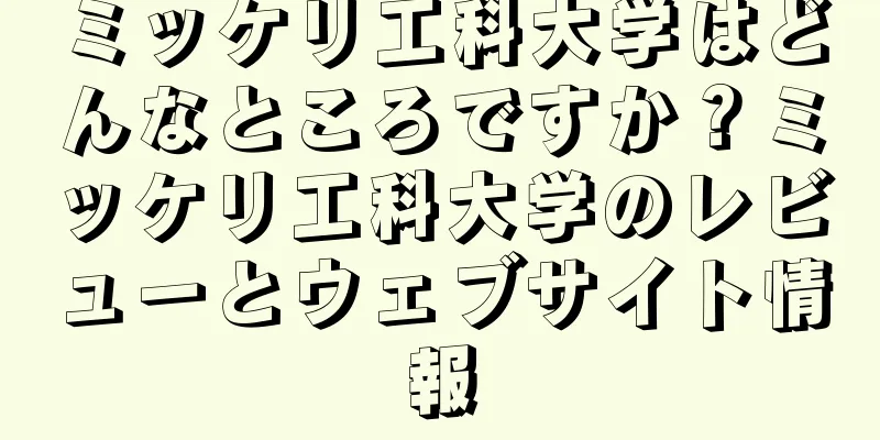 ミッケリ工科大学はどんなところですか？ミッケリ工科大学のレビューとウェブサイト情報