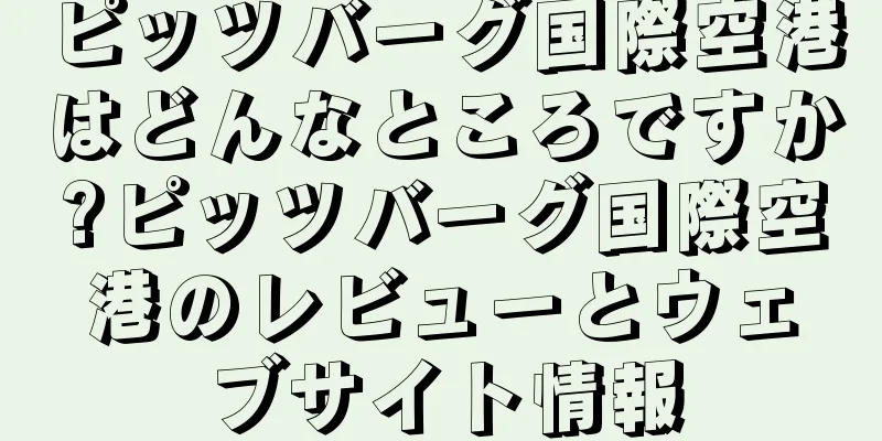 ピッツバーグ国際空港はどんなところですか?ピッツバーグ国際空港のレビューとウェブサイト情報