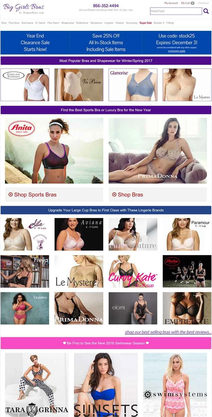 ビッグガールズブラ