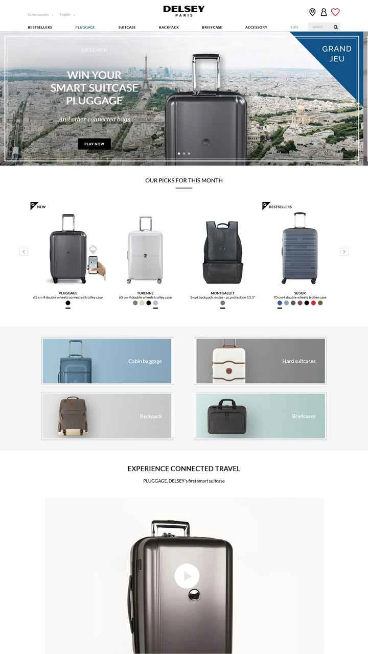 フランスアンバサダーラゲージ公式サイト：DELSEY Paris