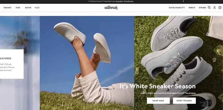 世界で最も快適な靴：オールバーズ