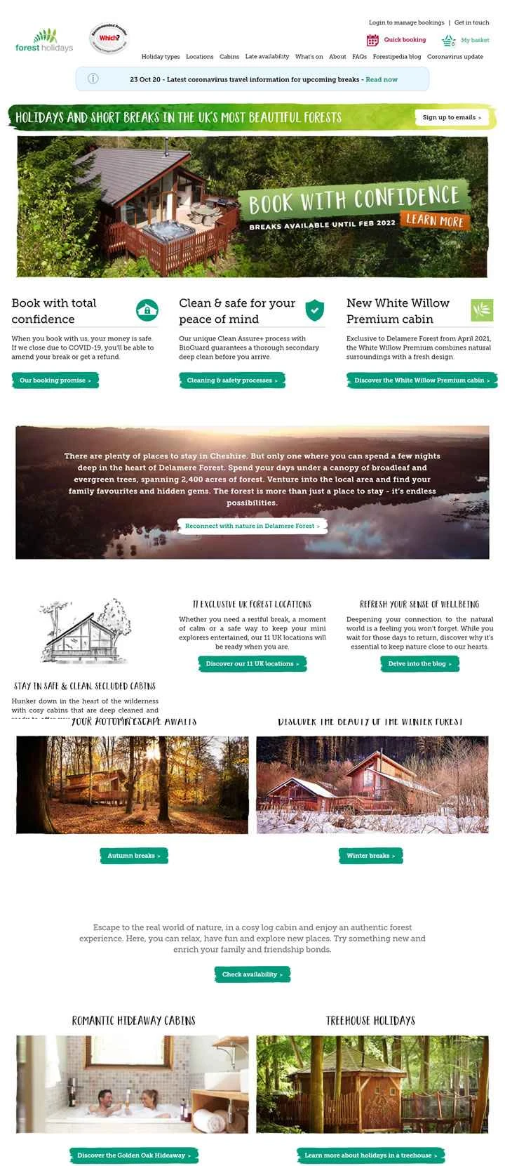 イギリスの森の休日